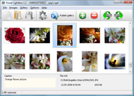 sample floating window Website Templates Photo Albums