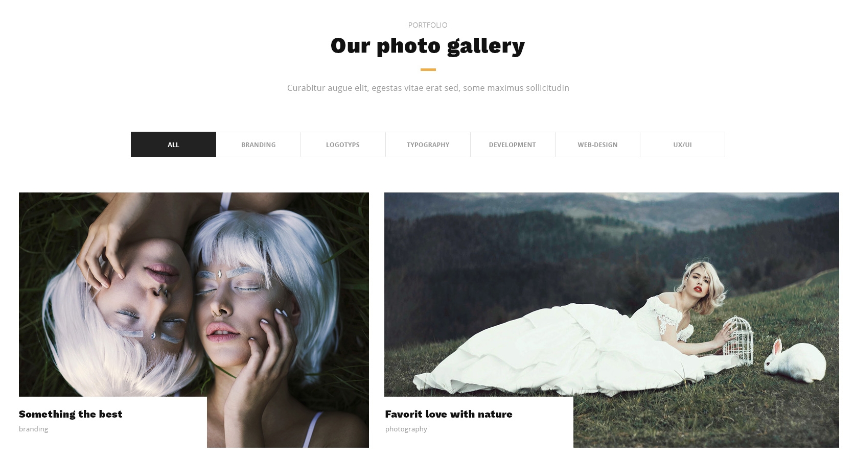 CSS3 Bootstrap Parallax Theme