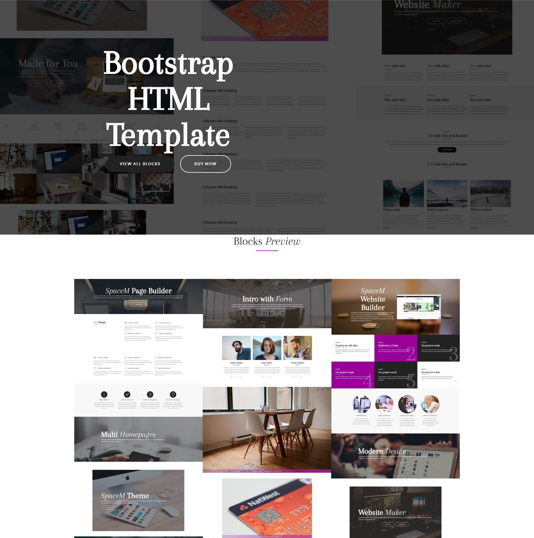 Responsive Bootstrap SpaceM Templates